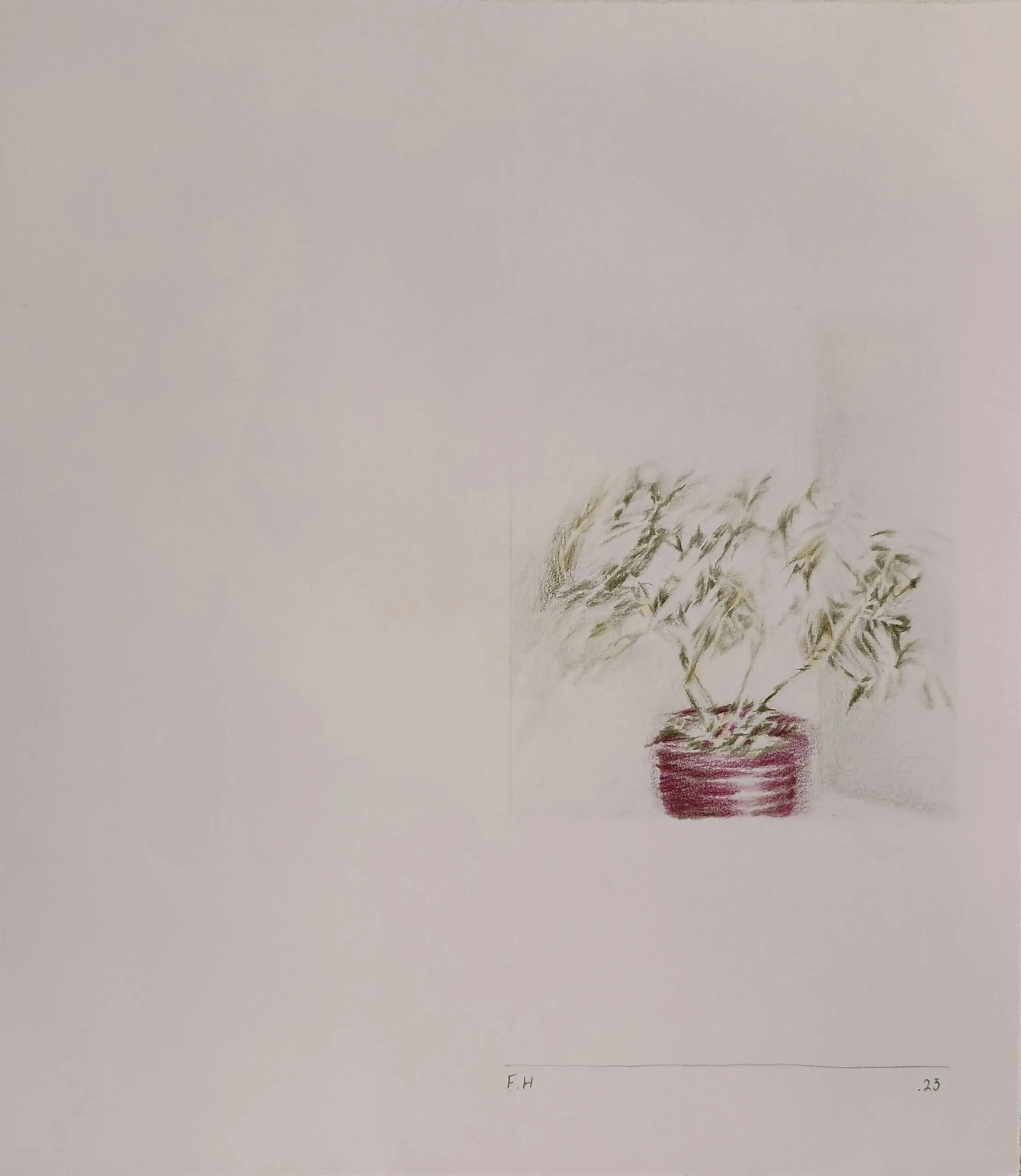 Pot — Colored pencil on cardboard, 31 × 27.5 cm, 2023