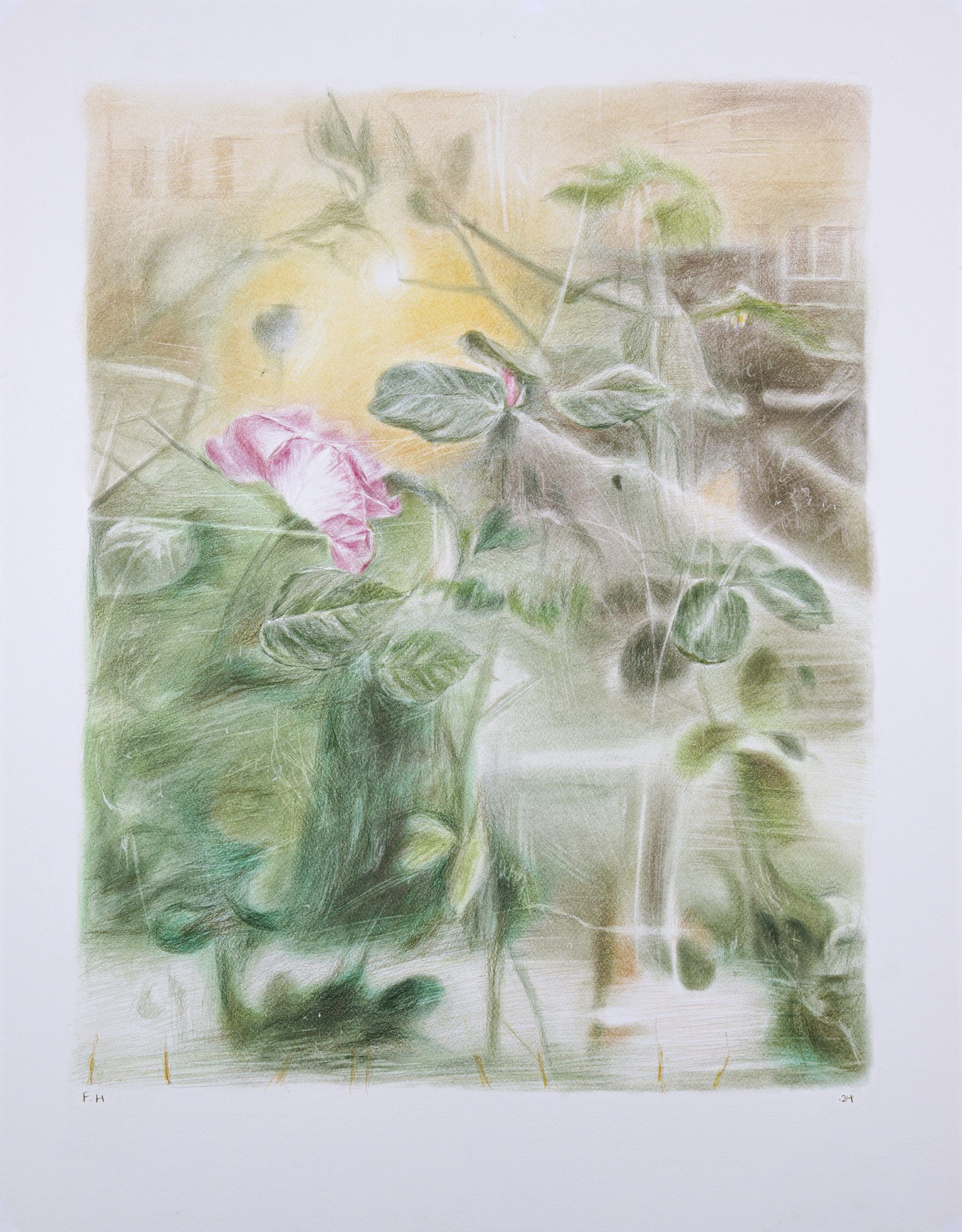Flowers — Chalk pastel and colored pencil on cardboard, 64 × 50 cm, 2024