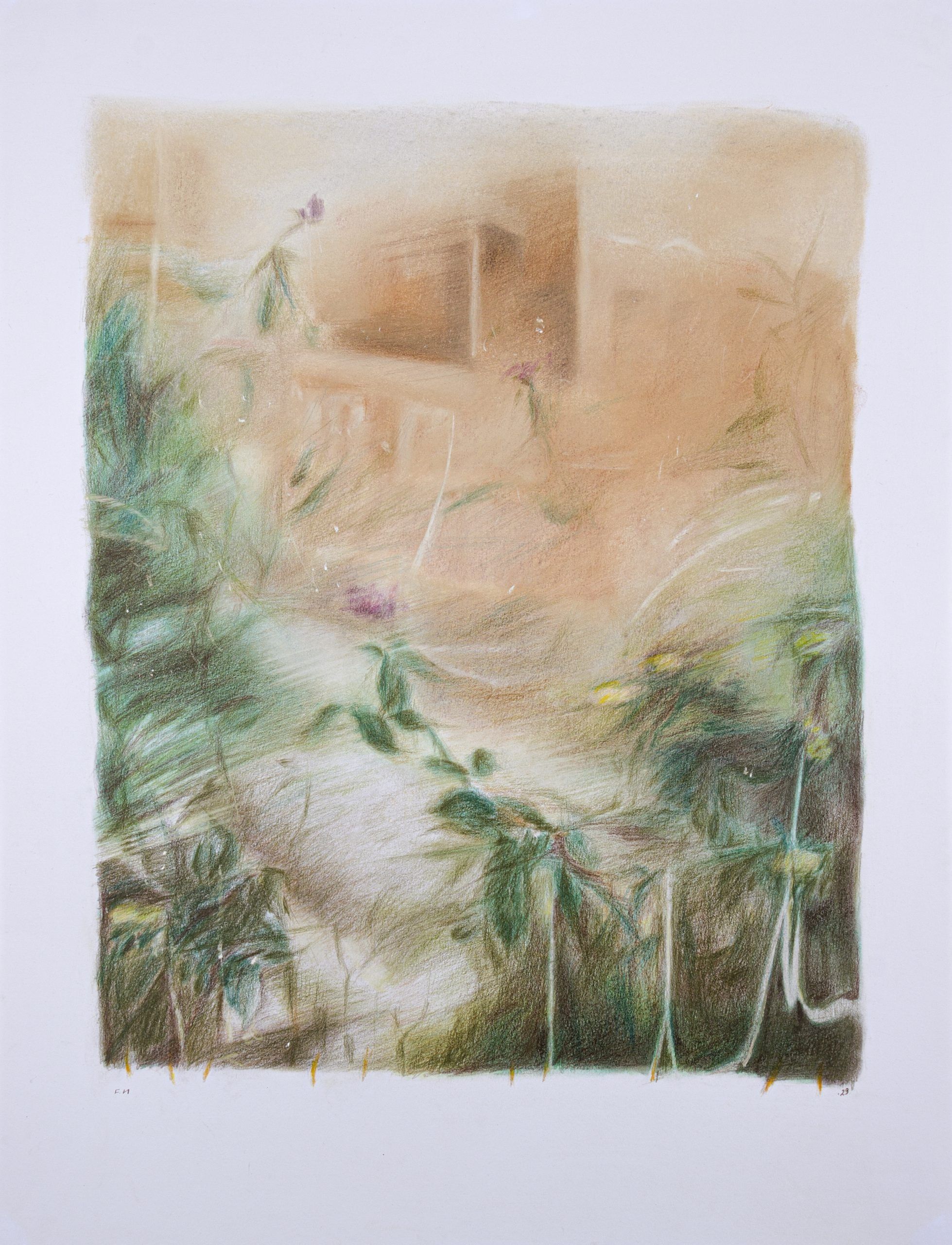 Flowers — Chalk pastel and colored pencil on cardboard, 64 × 50 cm, 2024