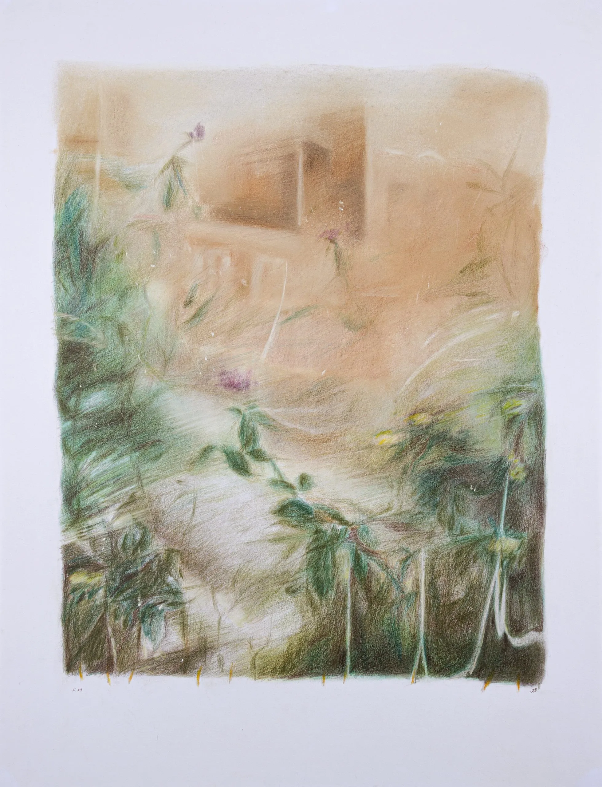 Flowers — Chalk pastel and colored pencil on cardboard, 64 × 50 cm, 2024