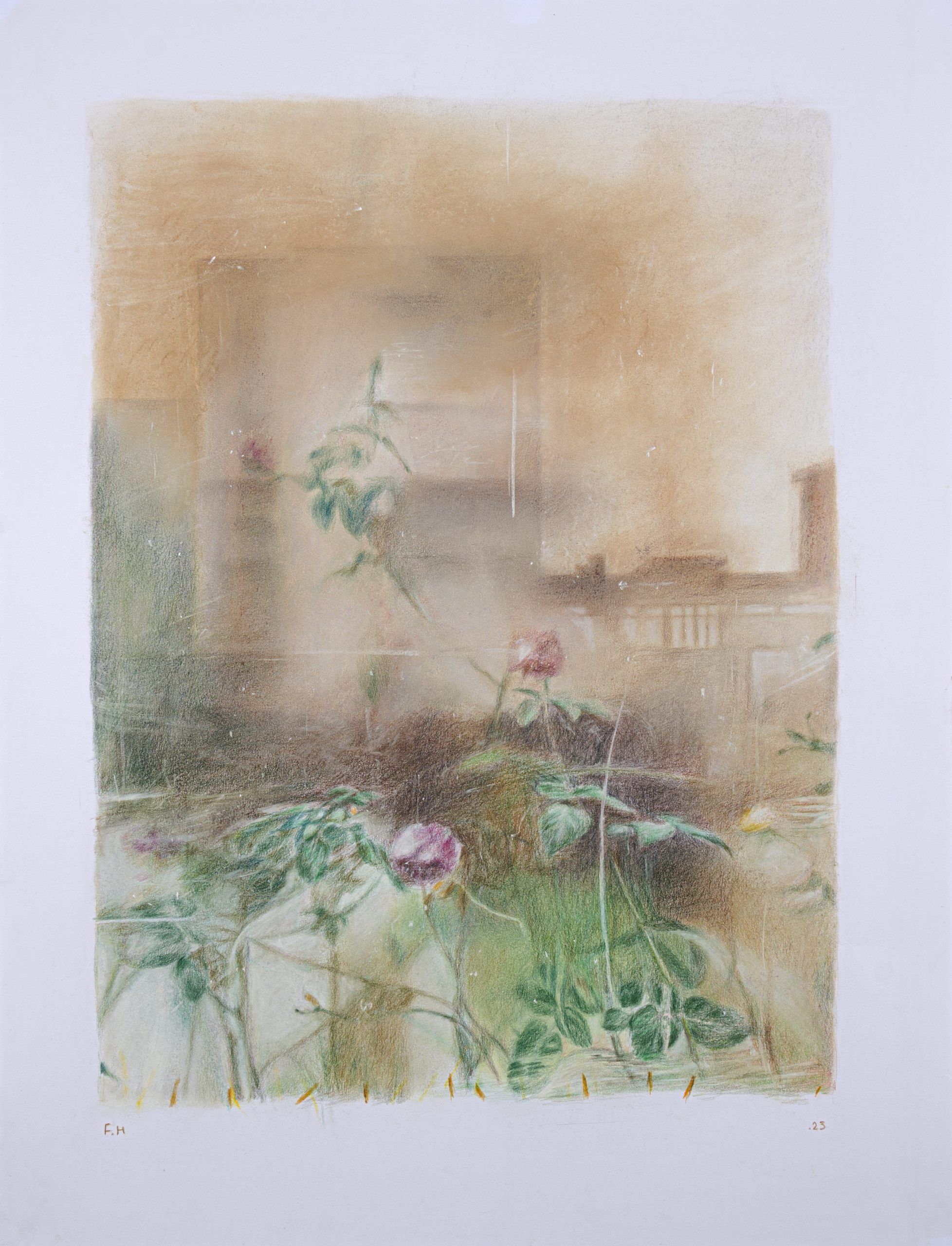 Flowers — Chalk pastel and colored pencil on cardboard, 64 × 50 cm, 2024