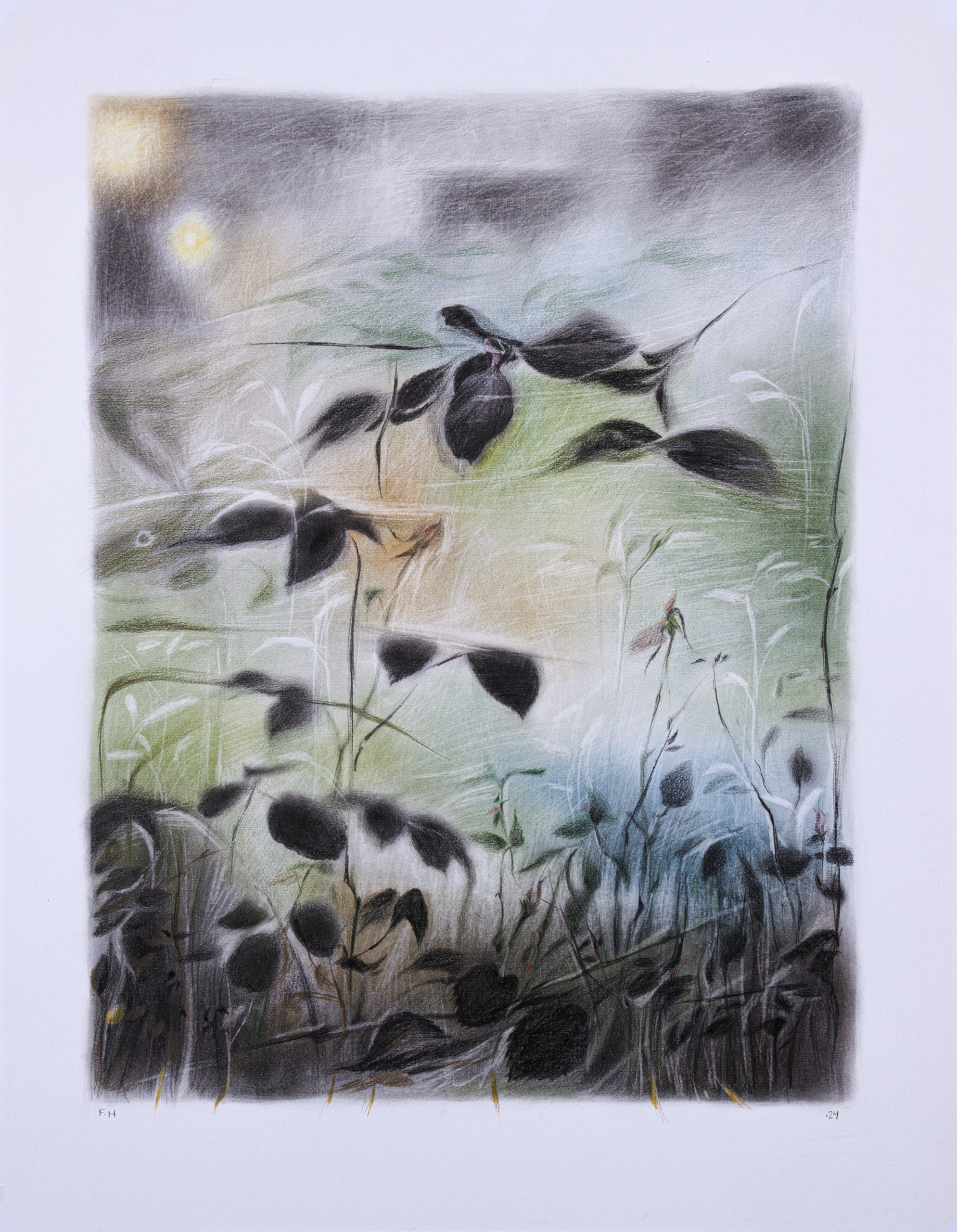 Flowers — Chalk pastel and colored pencil on cardboard, 64 × 50 cm, 2024