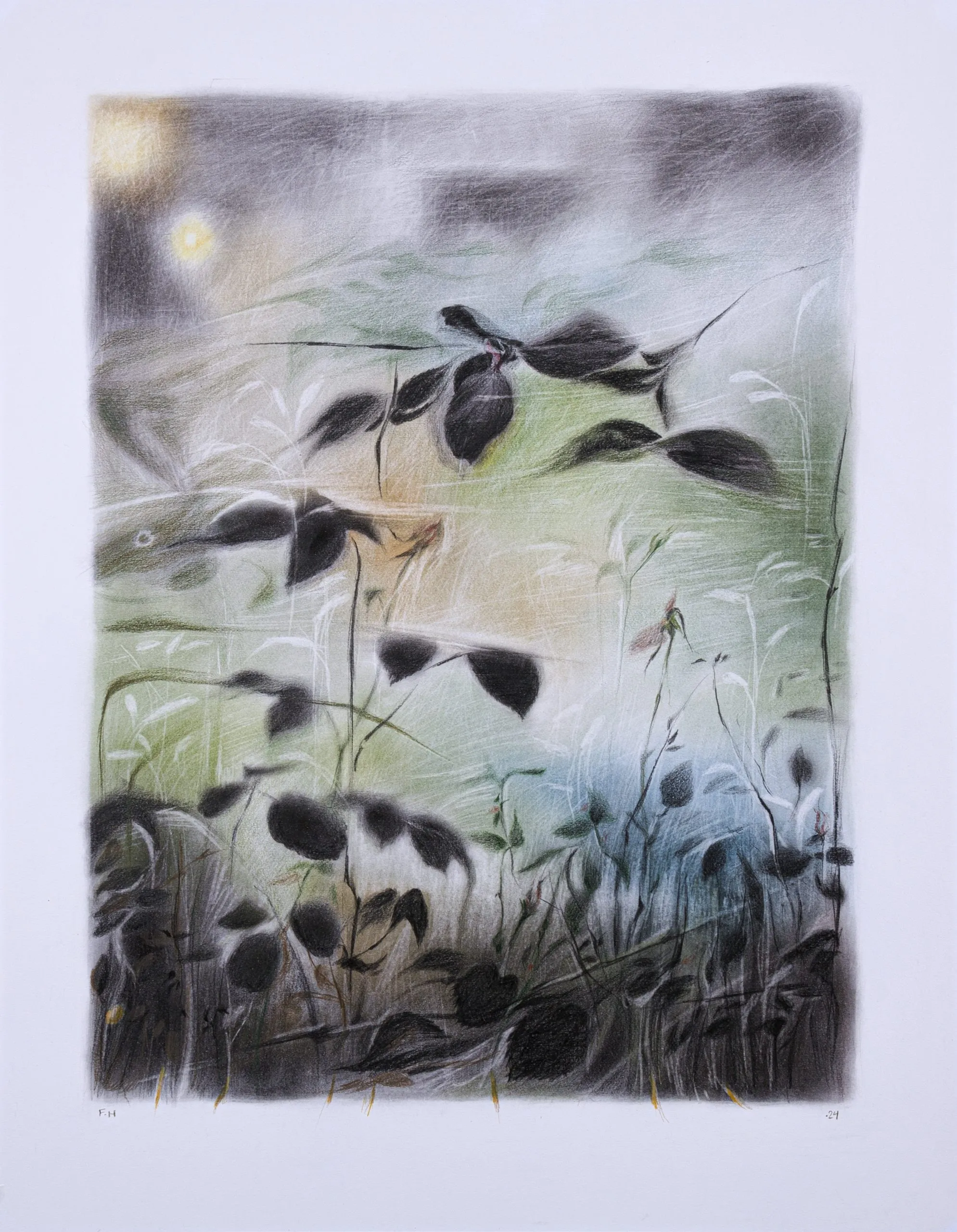 Flowers — Chalk pastel and colored pencil on cardboard, 64 × 50 cm, 2024