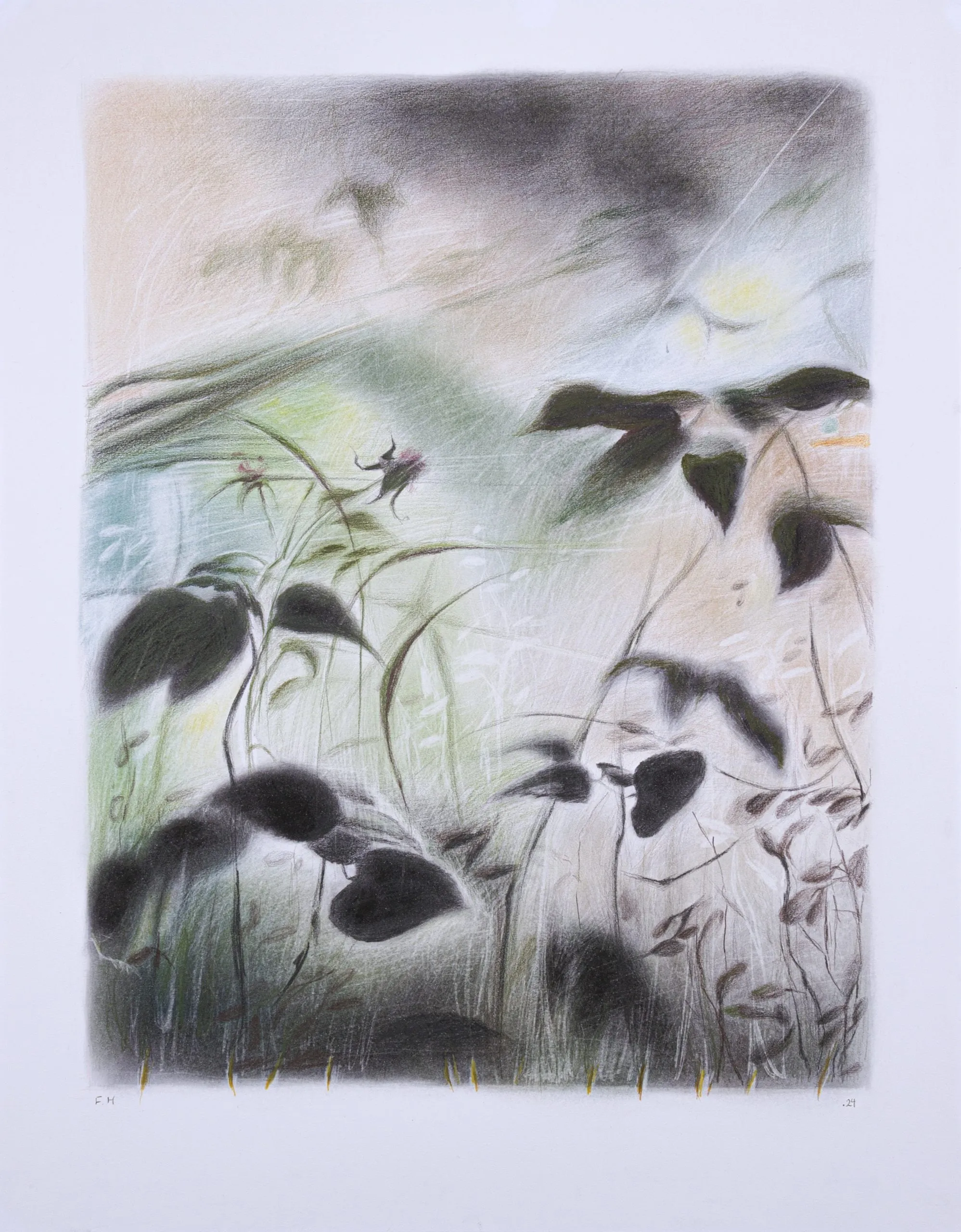 Flowers — cover of the Sohrevardi series