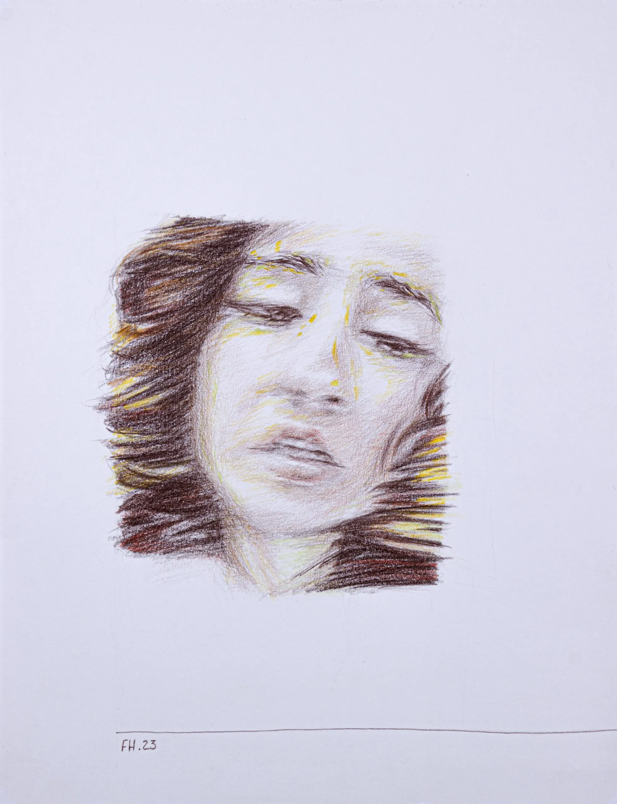 Flowers — Colored pencil on cardboard (each), 32.5 × 25 cm, 2023